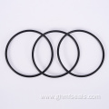 Mechanical Ring Ptfe Spring Loaded Oil Seals